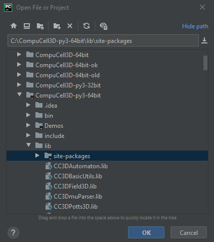Opening ``site-packages`` subfolder from CC3D installation directory